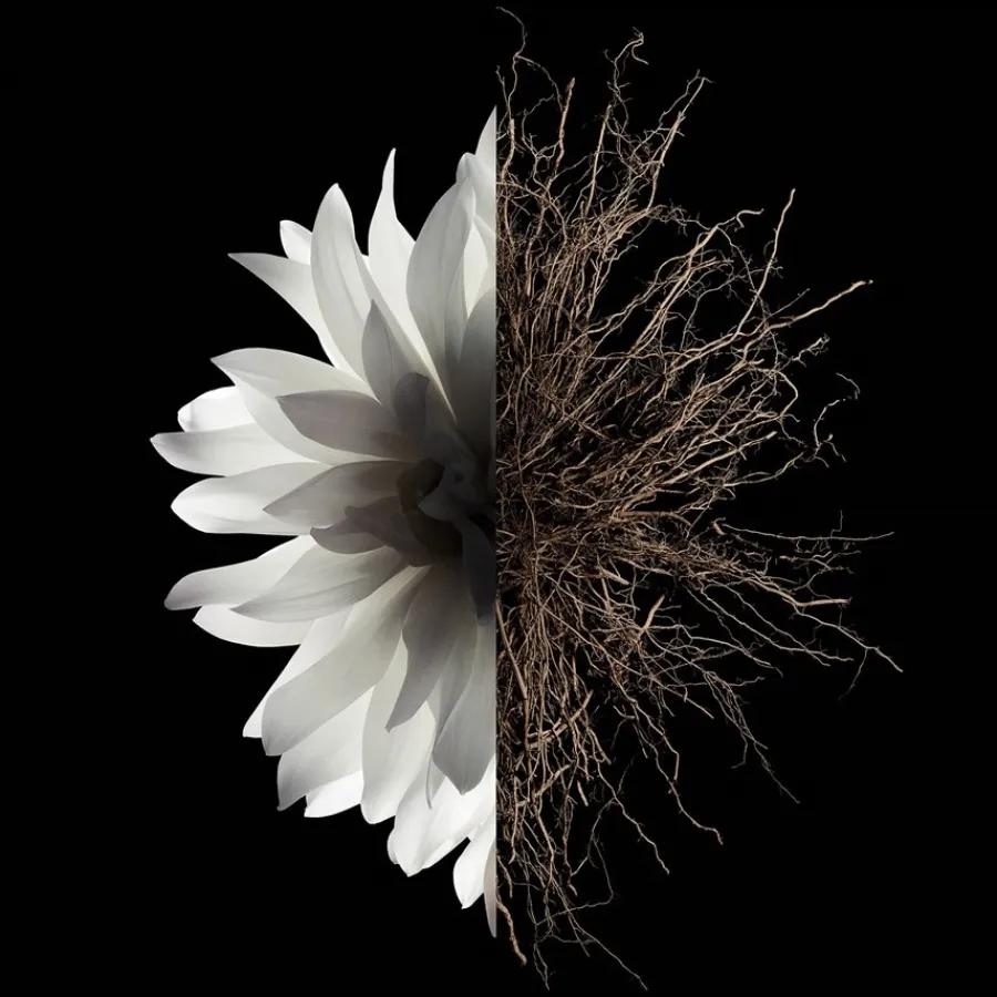 GIVENCHY L'INTERDIT The Deodorant von