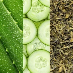 Mario Badescu Gesichtssprays Facial Spray  Aloe, erbe e acqua di rose