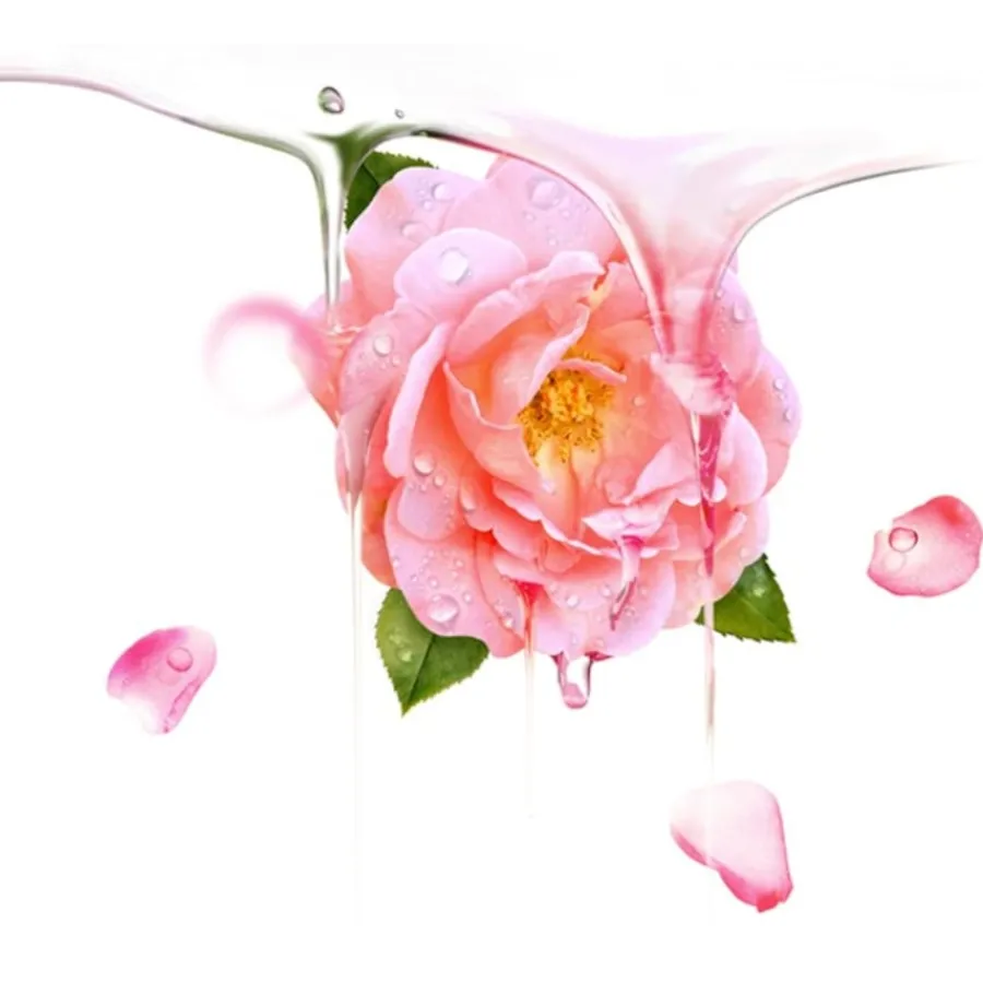 Foreo Maskenbehandlung UFO Mask Bulgarian Rose von