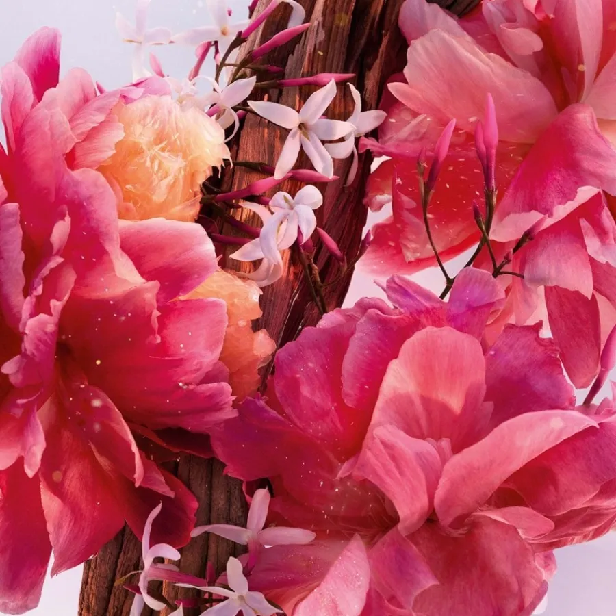 DIOR Miss Parfum Roller-Pearl Duft im praktischen Format für unterwegs – Intensiv blumige, fruchtige und holzige Noten von