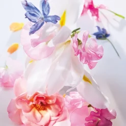 DIOR Miss Roller-Pearl Eau de Parfum von