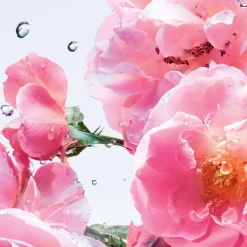 DIOR Miss Roller-Pearl Rose N Roses von Hot