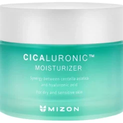 Mizon Cicaluronic Moisturizer