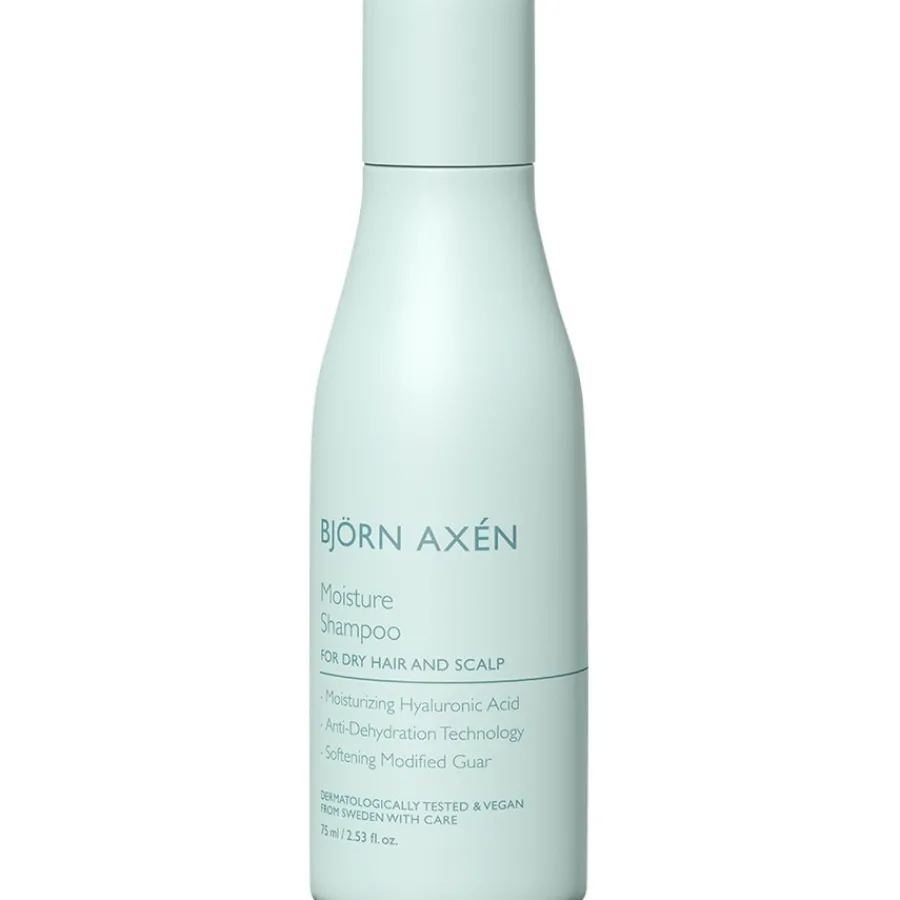 Bjou0308rn Axeu0301n Moisture Shampoo von Bjo¨rn Axe´n