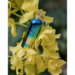 Montale Flowers Blue Matcha Eau de Parfum Spray