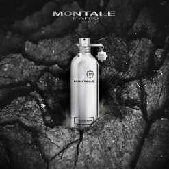 Montale Musk Black Musk Eau de Parfum Spray Online