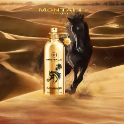 Montale Oud Arabians Eau de Parfum Clearance