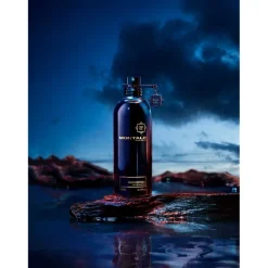 Montale Oud Oud Edition Eau de Parfum Spray