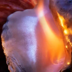 Montale Wood Wood On Fire Eau de Parfum Spray