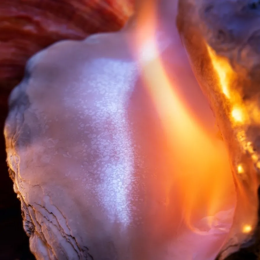 Montale Wood Wood On Fire Eau de Parfum Spray