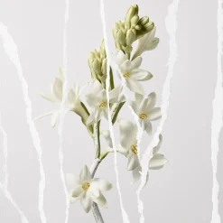 Maison Margiela Mutiny Eau de Parfum Spray von