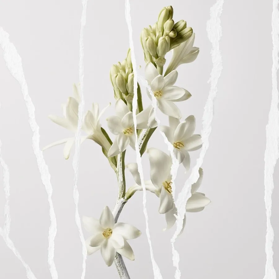 Maison Margiela Mutiny Eau de Parfum Spray von