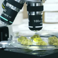 Mu00C1DARA MÁDARA ACNE Spot Roll-On