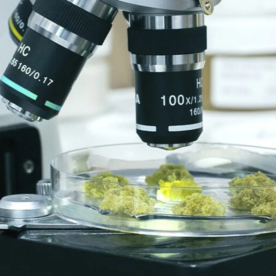 Mu00C1DARA MÁDARA ACNE Spot Roll-On