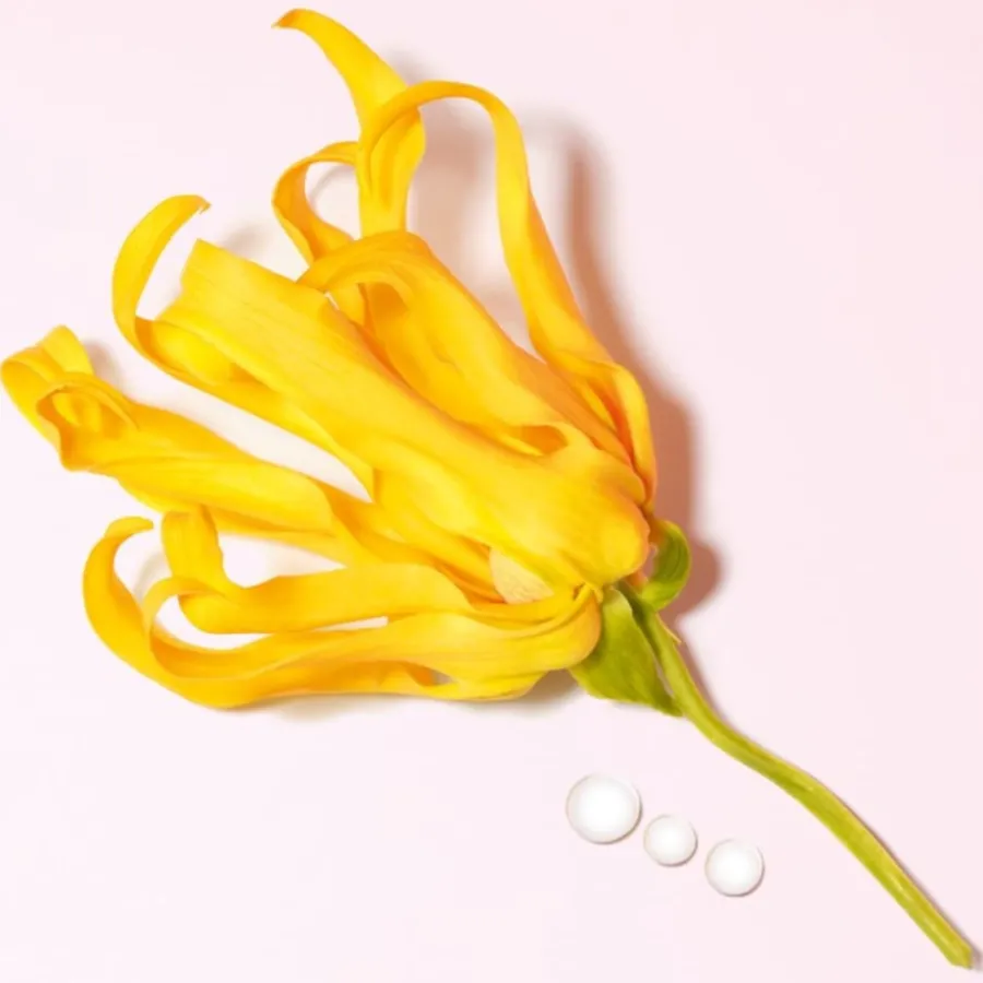 Armani My Way Eau de Parfum Spray Ylang von