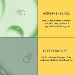 Nioxin Naturbelassenes, dezent dünner werdendes Haar Scalp Therapy Revitalising Conditioner Natural Hair Progressed Thinning von