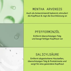 Nioxin Naturbelassenes, sichtbar dünner werdendes Haar  Cleanser Shampoo Natural Hair Progressed Thinning von