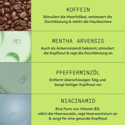 Nioxin Naturbelassenes, sichtbar dünner werdendes Haar Scalp Therapy Revitalising Conditioner Natural Hair Progressed Thinning von