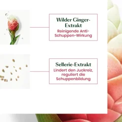 Renu00E9 Furterer Neopur Ausgleichendes Shampoo für trockene Schuppen von René Furterer