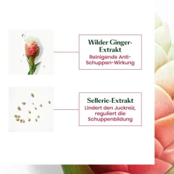 Renu00E9 Furterer Neopur Ausgleichendes Shampoo für fettige Schuppen von René Furterer Sale