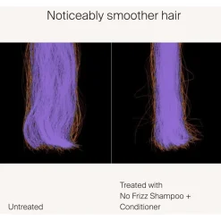 Living Proof No Frizz Conditioner von