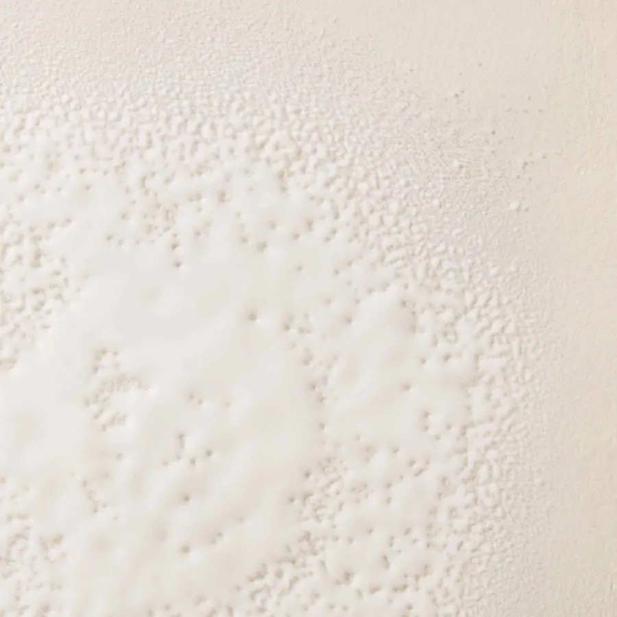 Living Proof No Frizz Smooth Styling Spray von Online