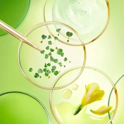 Nuxe Nuxuriance Ultra The Dark Spot Correcting Hand Cream von