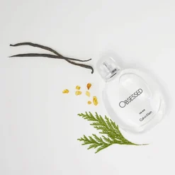 Calvin Klein Obsession for men Eau de Toilette Spray von New