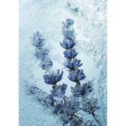 Maison Crivelli Olfactory Experiences Eau de Parfum Spray Absinthe Boréale von