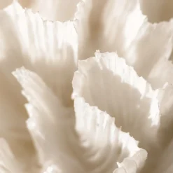 Maison Crivelli Olfactory Experiences Eau de Parfum Spray Rose SaltifOlia von