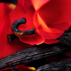 Maison Crivelli Olfactory Shocks Extrait de Parfum Spray Hibiscus Mahajád von