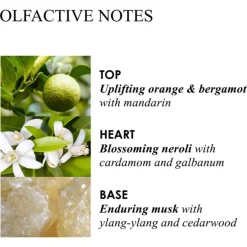 Molton Brown Orange & Bergamot Aroma Reeds Diffuser von