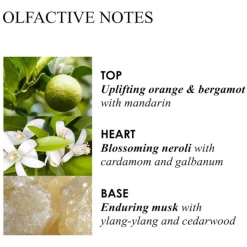 Molton Brown Orange & Bergamot Fine Liquid Hand Wash von Discount