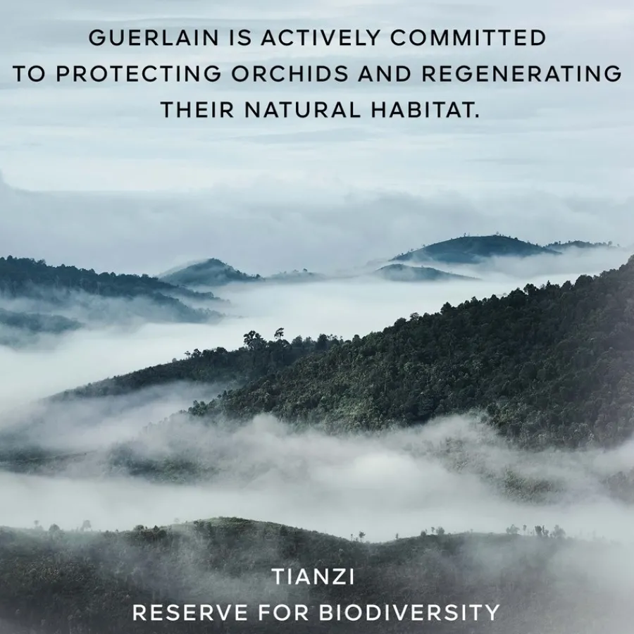 GUERLAIN Orchidée Impériale Globale Anti Aging Pflege The Foam in Cream von