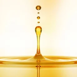 Revlon Professional Orofluido Original Elixir von Best