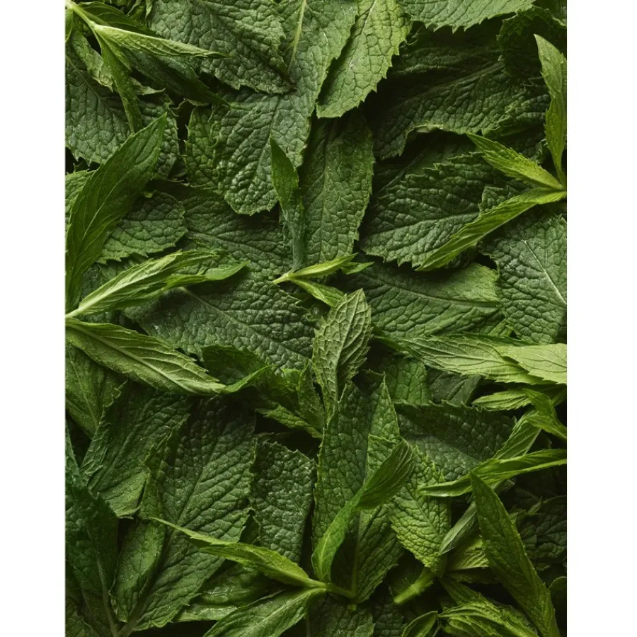 Ralph Lauren Polo Sport Man Eau de Toilette Spray von Clearance