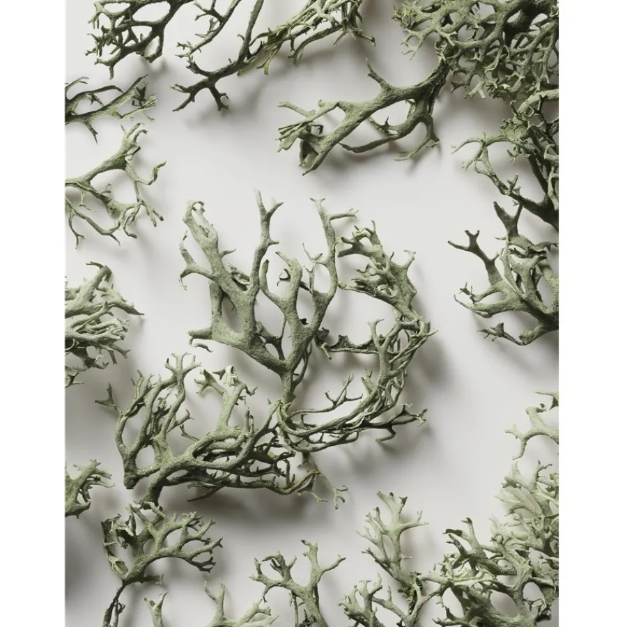 Ralph Lauren Polo Sport Man Eau de Toilette Spray von Clearance