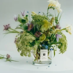 Jo Malone London Pomegranate Noir Home Candle von