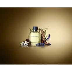 Dolceu0026Gabbana Pour Homme Eau de Toilette Spray von Dolce&Gabbana Clearance