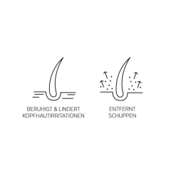 System Professional Lipid Code Purify Lotion P5 von Online