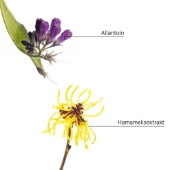 System Professional Lipid Code Purify Lotion P5 von Online