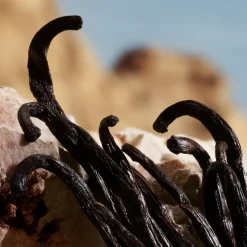 Dolceu0026Gabbana Q by Dolce&Gabbana Parfum von Dolce&Gabbana