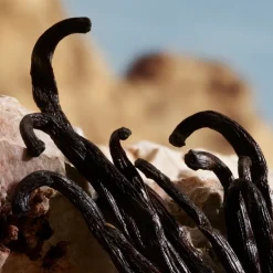 Dolceu0026Gabbana Q by Dolce&Gabbana Parfum von Dolce&Gabbana