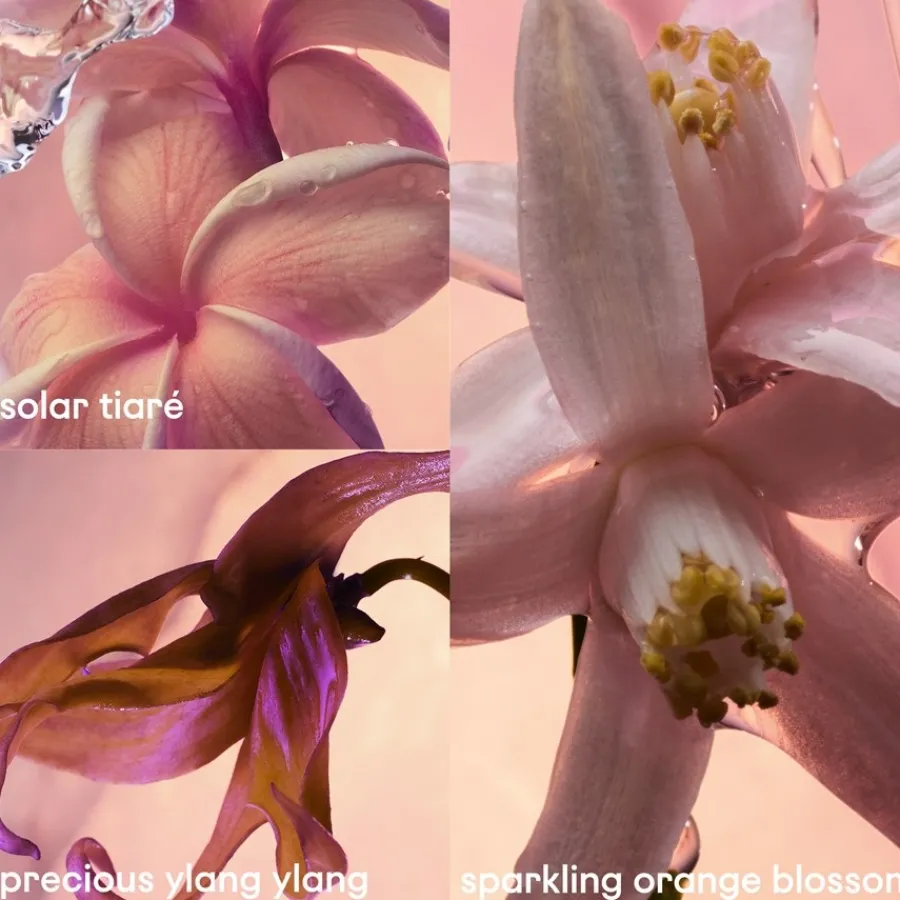 Rabanne Olympéa Solar Eau de Parfum Spray Intense