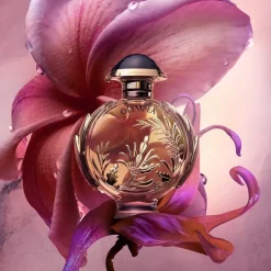 Rabanne Olympéa Solar Eau de Parfum Spray Intense