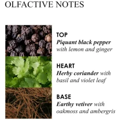 Molton Brown Re-Charge Black Pepper Bath & Shower Gel von Hot