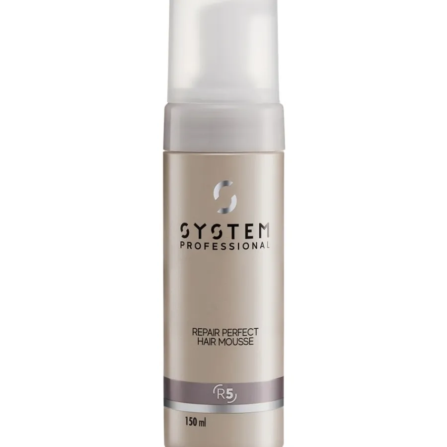 System Professional Lipid Code Repair Perfect Hair R5 von Best