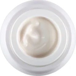 Helena Rubinstein Re-Plasty Age Recovery Day Cream von New