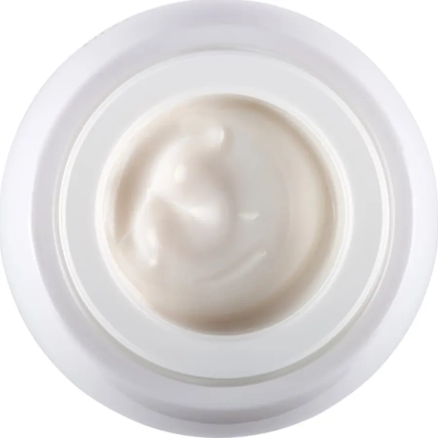 Helena Rubinstein Re-Plasty Age Recovery Day Cream von New