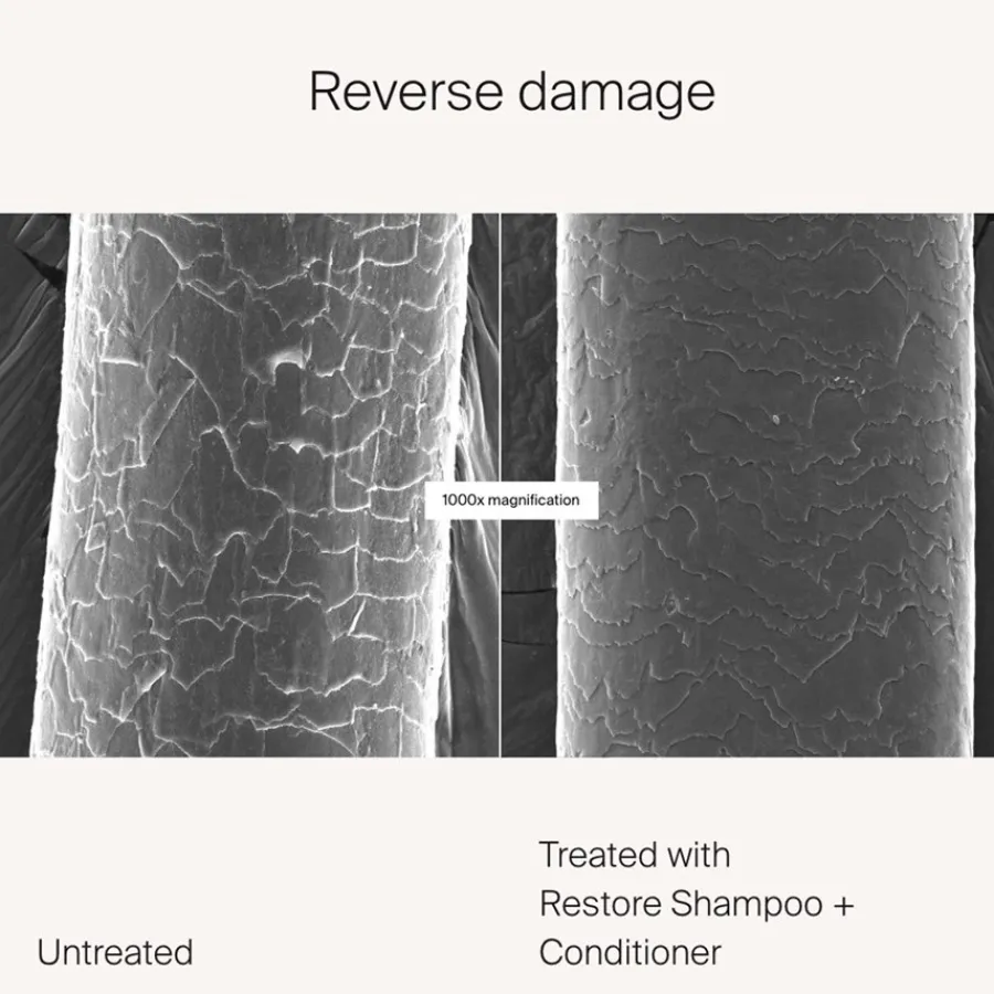 Living Proof Restore Conditioner von Discount